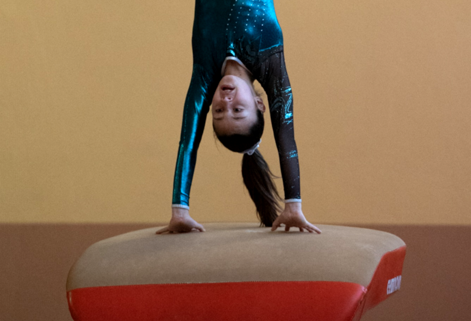 Gymnastique Esprit Sport Seyssuel Estrablin